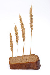 Similar image 313064