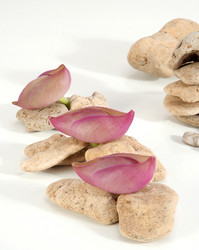 Similar image 313099