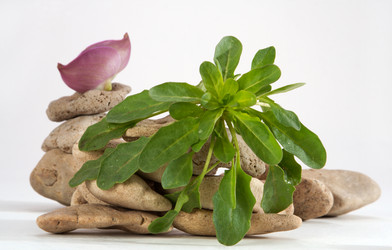 Similar image 313101