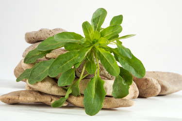 Similar image 313103