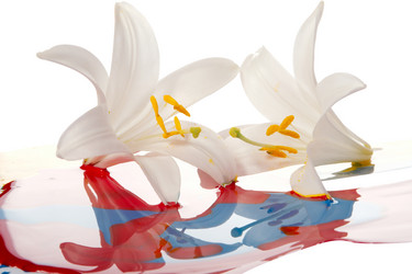 Similar image 313105