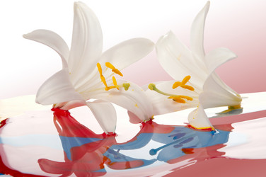 Similar image 313106