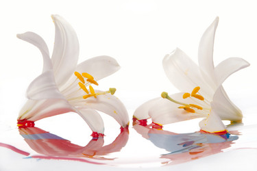 Similar image 313107