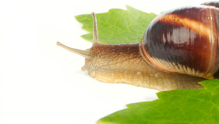 Similar image 313113