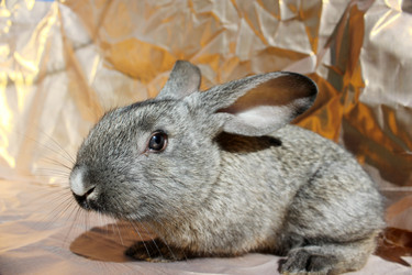 Similar image 313167