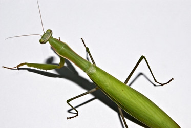 Similar image 313214