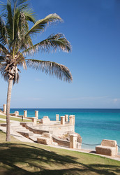 Similar image 313235