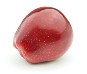 Similar image 313273