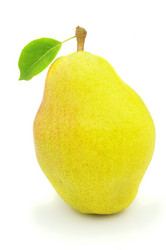 Similar image 313274