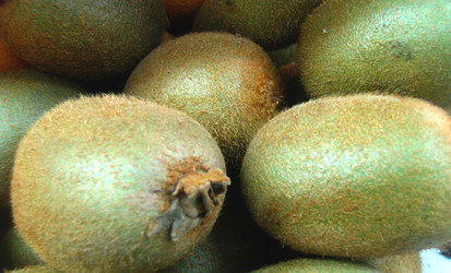 Similar image 313275