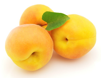 Similar image 313276