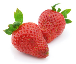 Similar image 313278