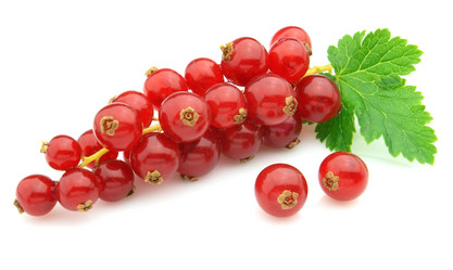 Similar image 313279