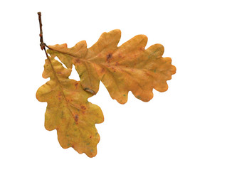 Similar image 313328