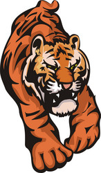 Similar image 313355