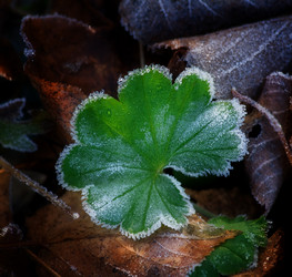 Similar image 313381