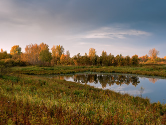 Similar image 313392