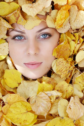 Similar image 313422