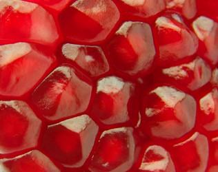 Similar image 313447