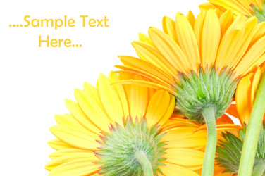 Similar image 313465