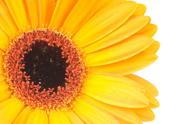 Similar image 313470