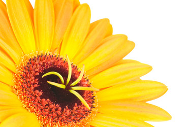 Similar image 313471