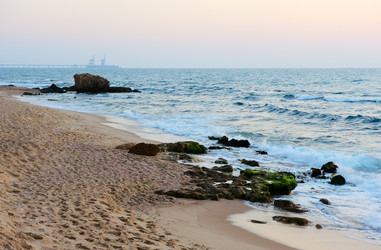 Similar image 313476