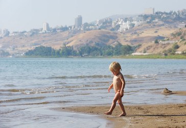 Similar image 313546