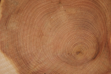 Similar image 313560