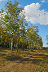 Similar image 313679