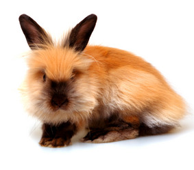 Similar image 313721