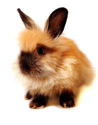 Similar image 313723