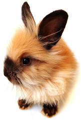 Similar image 313724