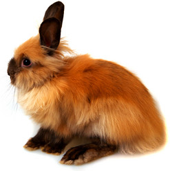 Similar image 313729