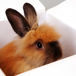 Similar image 313734