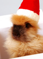 Similar image 313738