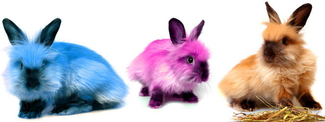 Similar image 313745