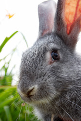 Similar image 313759