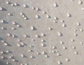 Similar image 313763