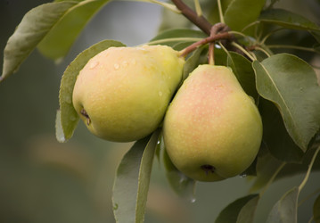 Similar image 313764