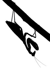 Similar image 313834