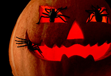 Similar image 313843