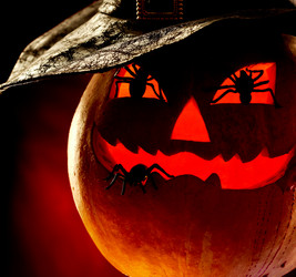 Similar image 313848