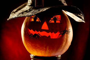 Similar image 313852