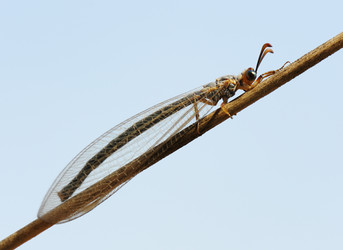 Similar image 313858