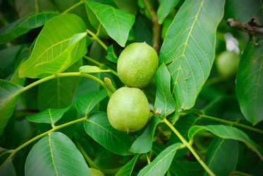 Similar image 313860