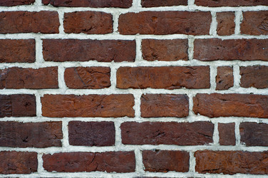 Similar image 313861