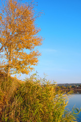 Similar image 313925