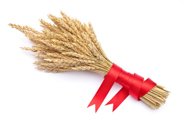 Similar image 313926