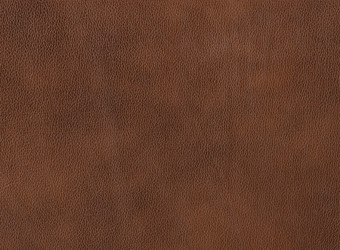 Similar image 313954